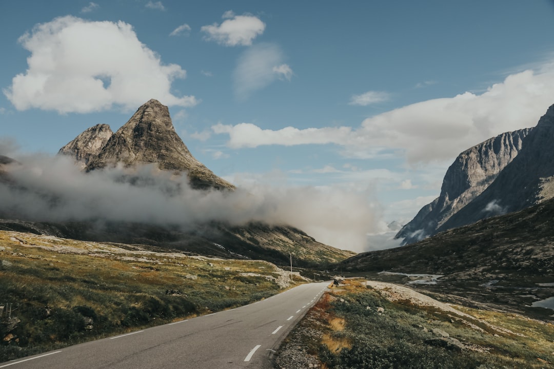 Bilforsikring: En Omfattende Guide til Trygghet på Veiene